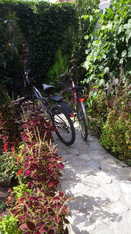 Veda Guest House Ahyolu Dış mekan fotoğraf